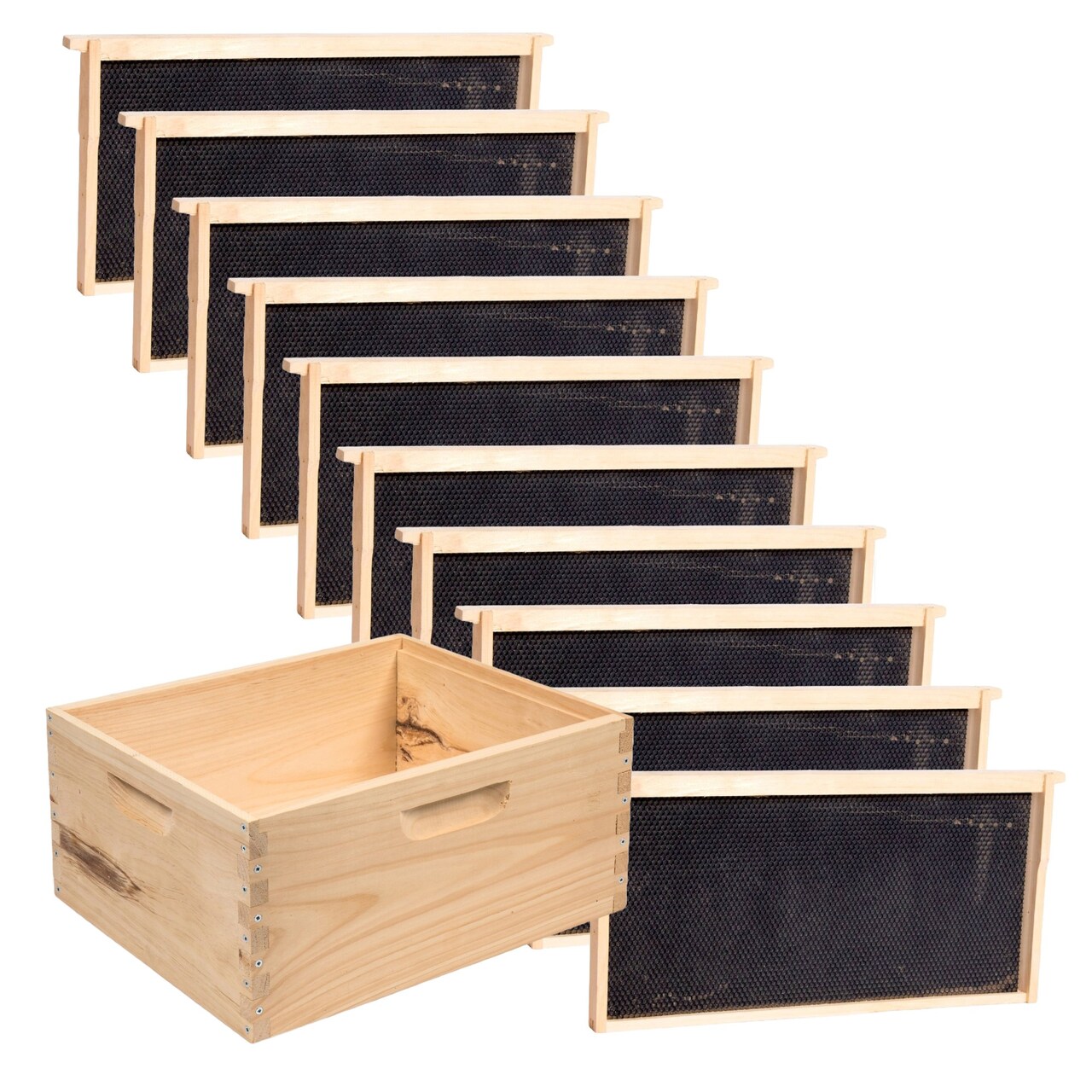 Stoney Acres Beekeeping Beehive Box, 10 Frame Deep Assembled Super or Brood Honeybee Hive Box with Plastic Foundation Frames, Amish Made